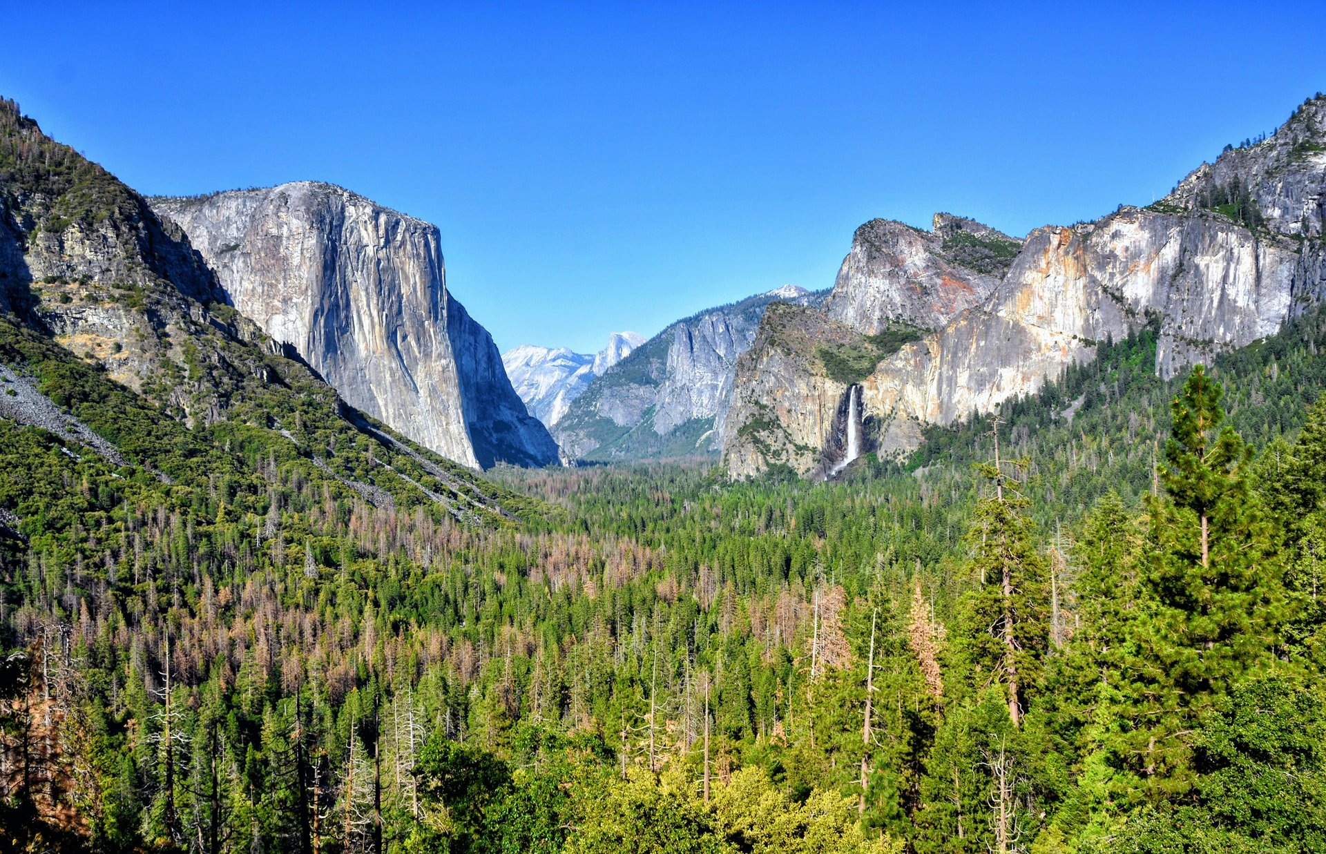 Sightseer’s Guide to Yosemite National Park